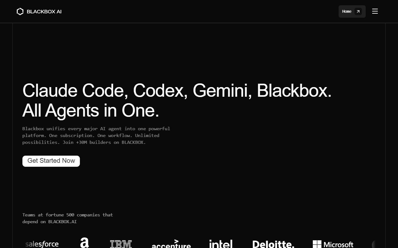Blackbox AI - website preview