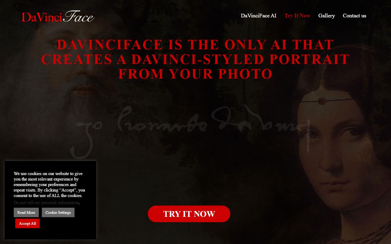 DaVinciFace - website preview