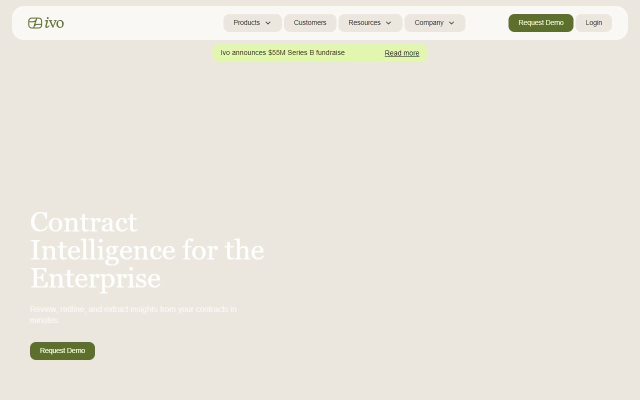 Ivo - website preview