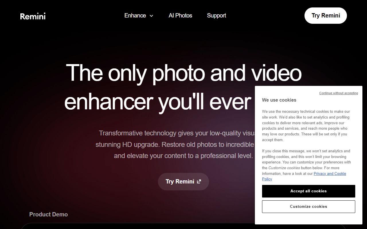 Remini - website preview