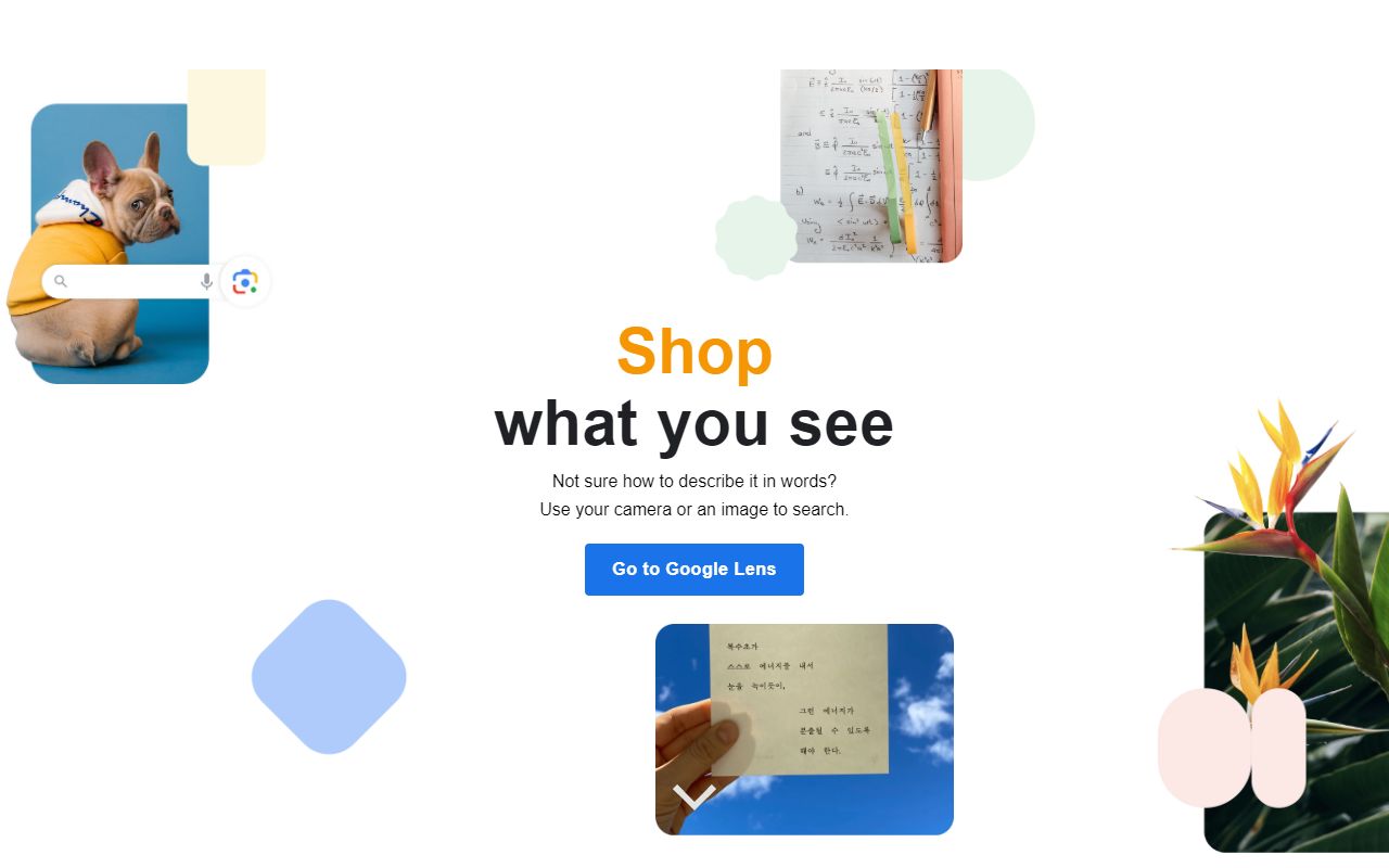 Socratic - website preview