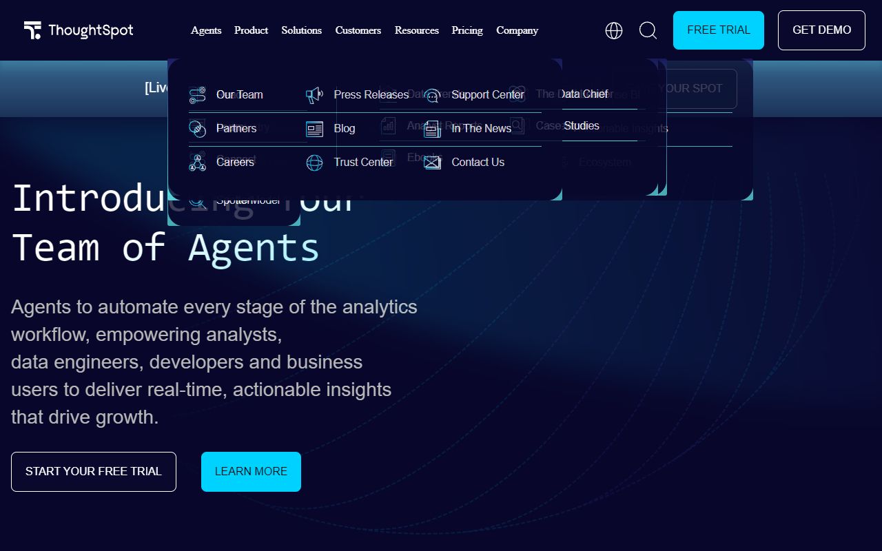 ThoughtSpot - website preview